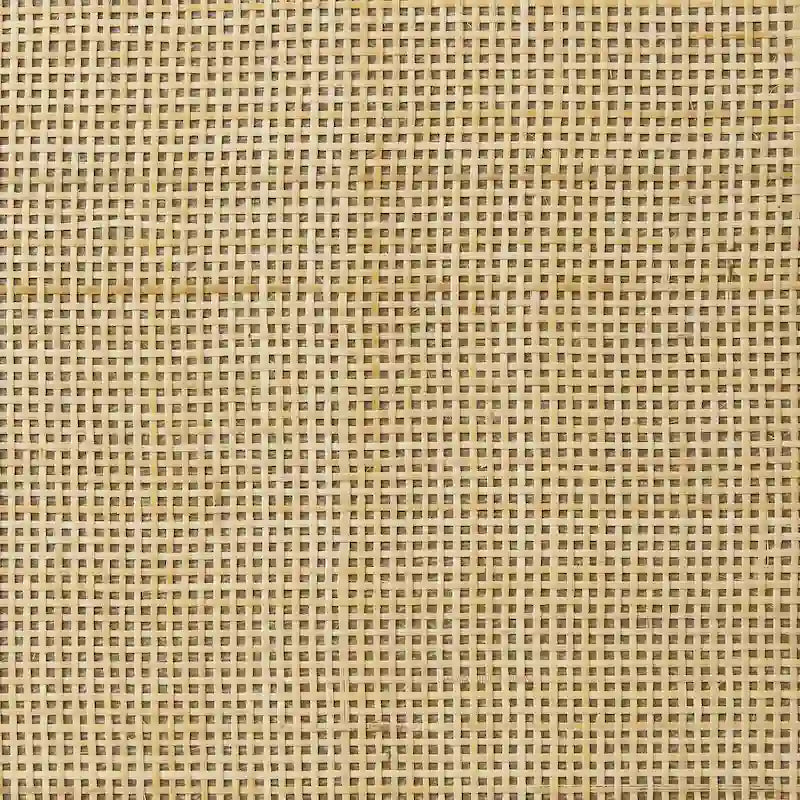 Rattan-Bücherregal mit 5 Ebenen, Aufbewahrungsregal mit Schrank für Wohnzimmer und Homeoffice