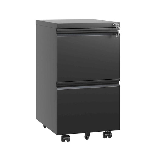 2 Drawer Metal Mobile File Cabinet,Rolling File Cabinet with Lock for Hanging Legal/Letter/A4 Size